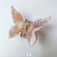 Butterfly Clip